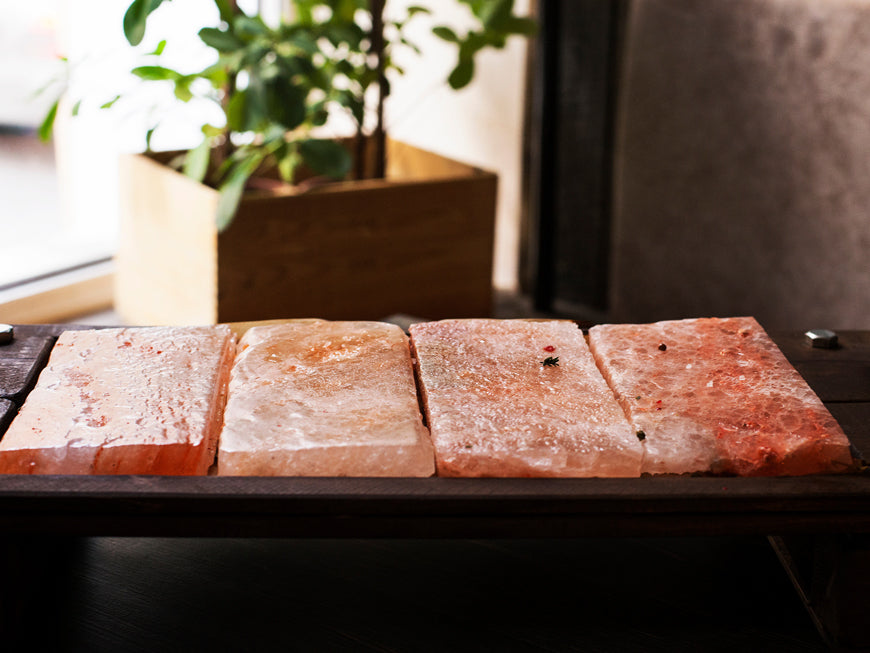 Himalayan Salt Bricks (Box of 10)